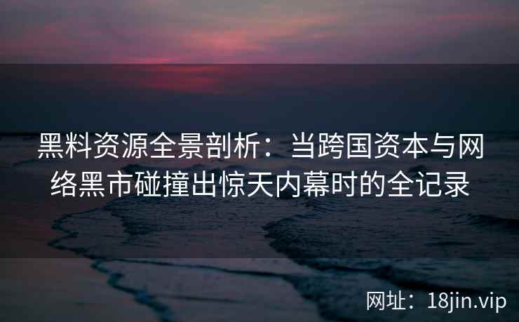 黑料资源全景剖析：当跨国资本与网络黑市碰撞出惊天内幕时的全记录