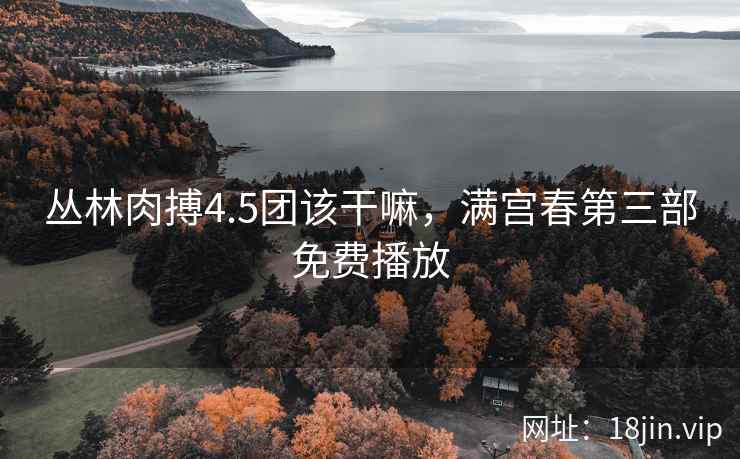 丛林肉搏4.5团该干嘛，满宫春第三部免费播放